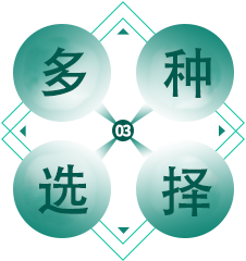 多种选择