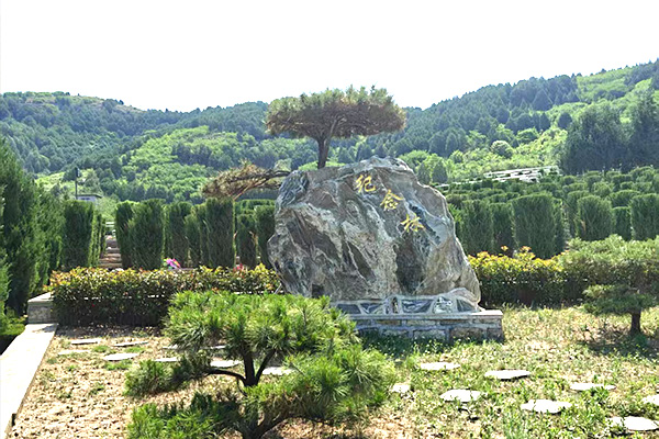 春园一级