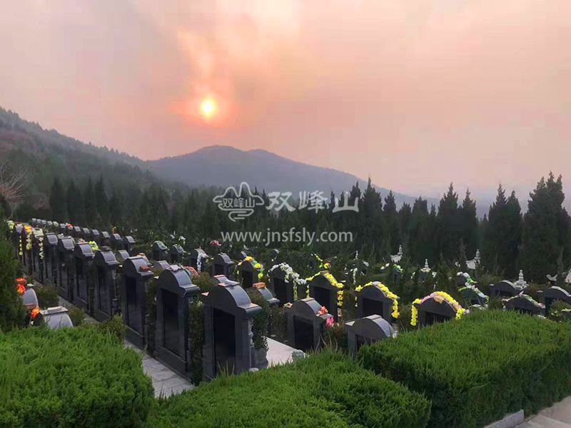 微信图片_20220422102954.jpg